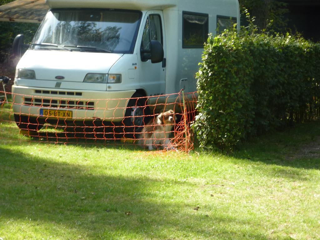 Camper, Caravans en Kamperen, Mobilhomes, Particulier, tot en met 4, Half-integraal, Fiat, Fiat, 6 tot 7 meter, Diesel, Handgeschakeld