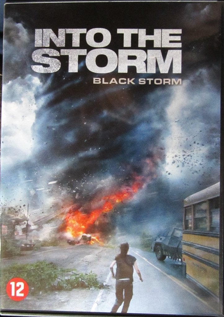 DVD RAMPENFILM- INTO THE STORM, CD & DVD, DVD | Action, Tous les âges, Enlèvement ou Envoi, Comme neuf, Thriller d'action