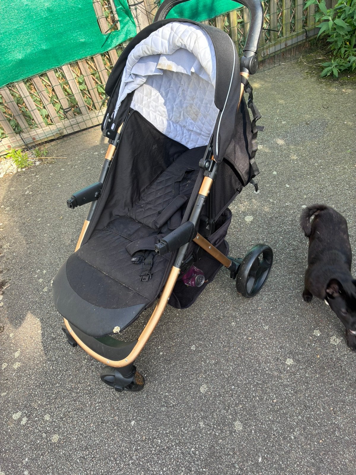 Buggy cangaroo met maxi-cosi en ligbak, Kinderen en Baby's, Ophalen, Zo goed als nieuw, Maxi-Cosi