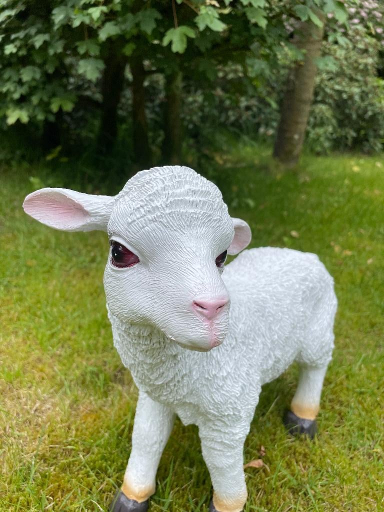 Beeld lammetje wit, tuin, gazon, boerderij  35cm, Ophalen of Verzenden, Nieuw, Kunststof, Dierenbeeld