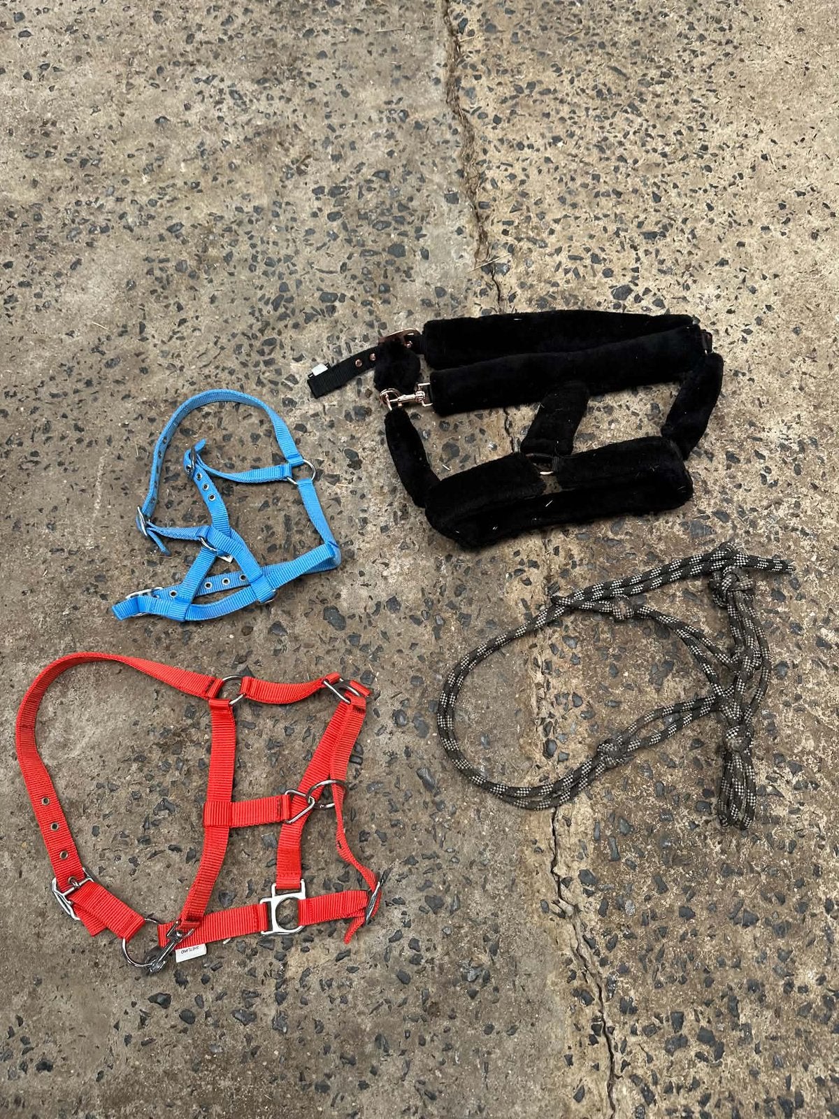 4 halsters te koop, Dieren en Toebehoren, Ophalen, Pony, Zo goed als nieuw, Halster