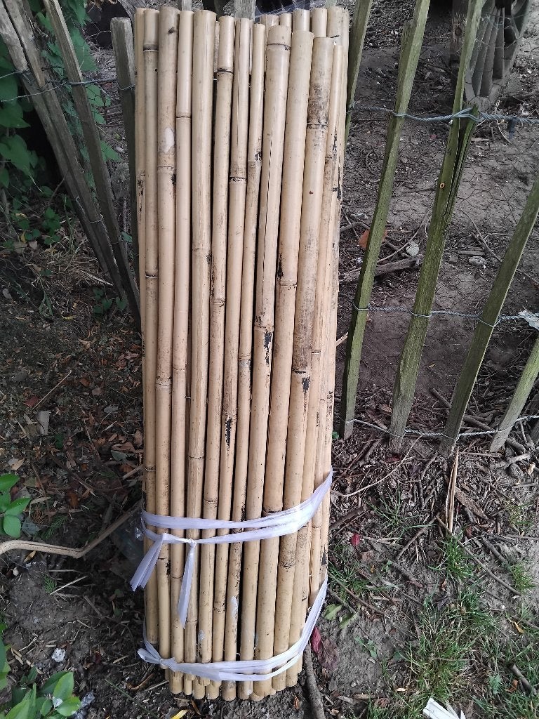 bamboe rol 3 x 1 meter nieuw, Ophalen, Nieuw
