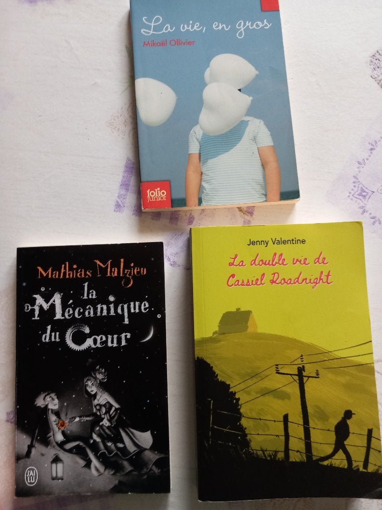 LIVRES A VENDRE, Enlèvement, Utilisé