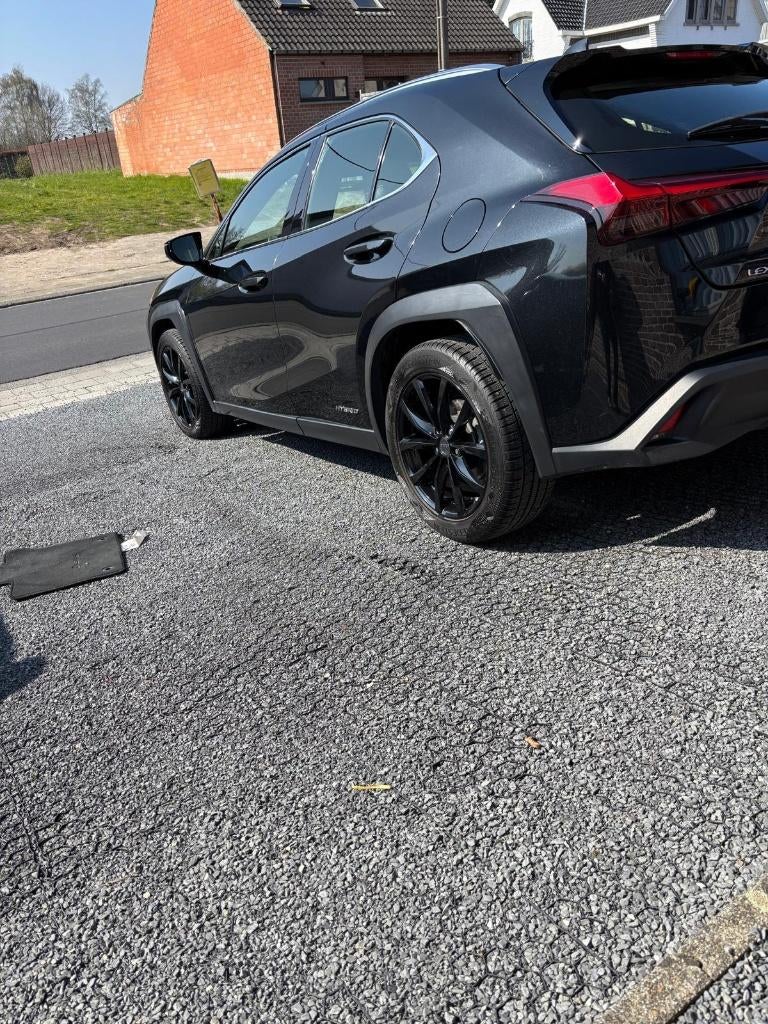 Lexus Lux 250h, Autos, Détection des panneaux routiers, Alcantara, 5 portes, Automatique