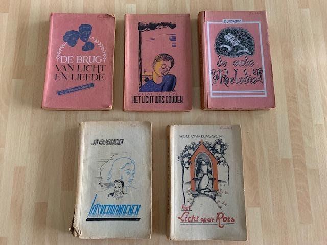 Volksreeks van het Davidsfonds, Ophalen of Verzenden, Gelezen