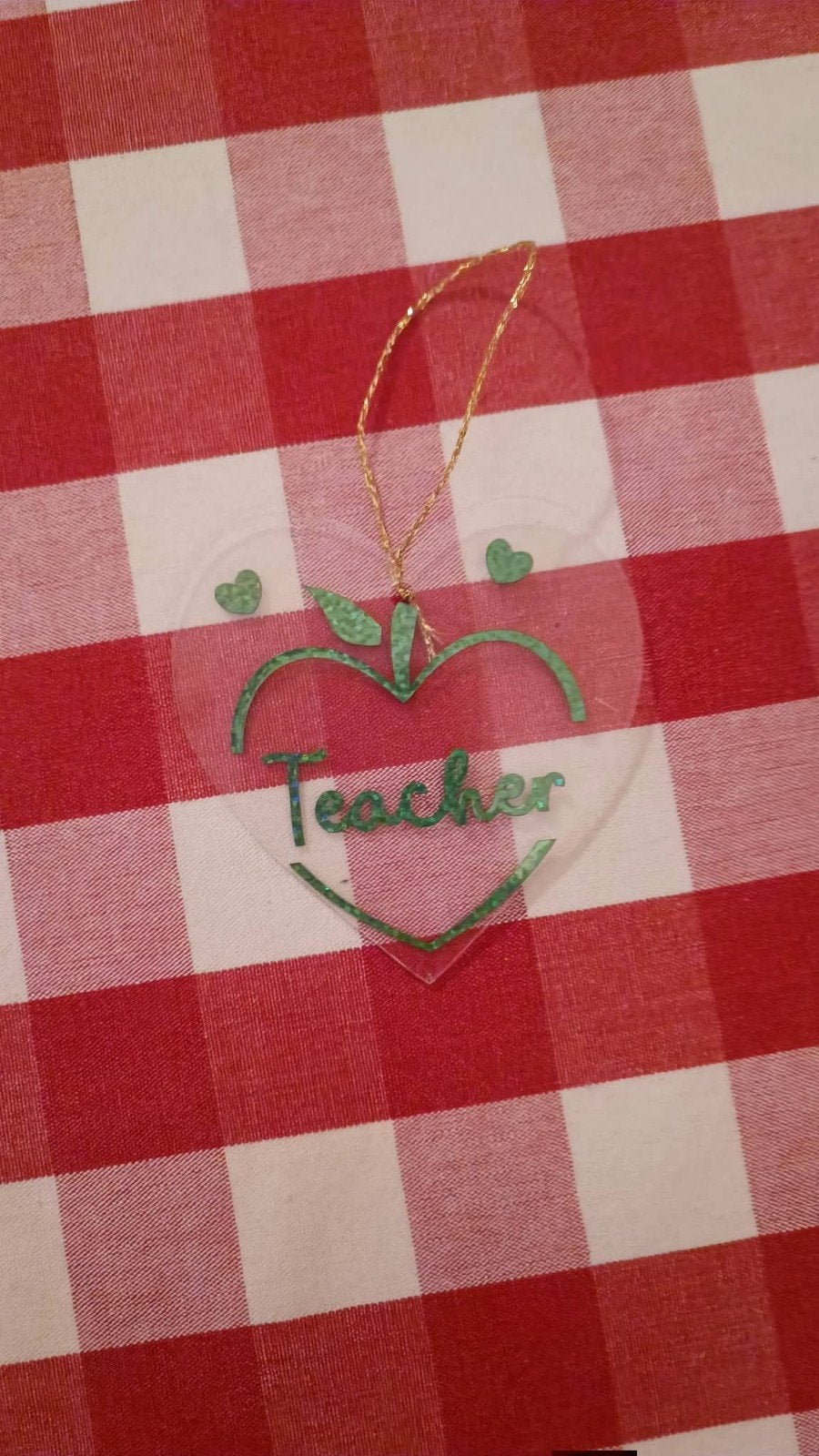hanger voor leerkracht, Neuf, Vert, Classique, Plastique