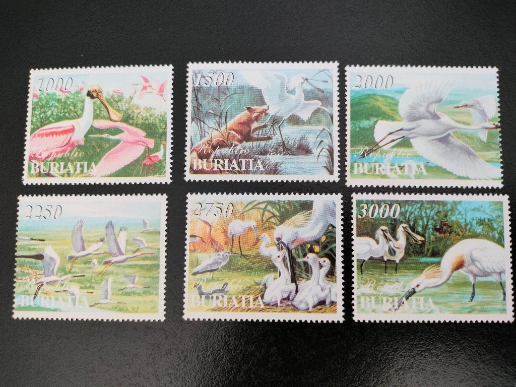 Bouriatie 1998 - oiseaux, spatules **, Envoi, Non oblitéré