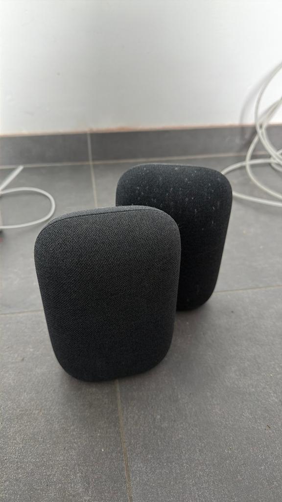 Google Nest Audio, Enlèvement