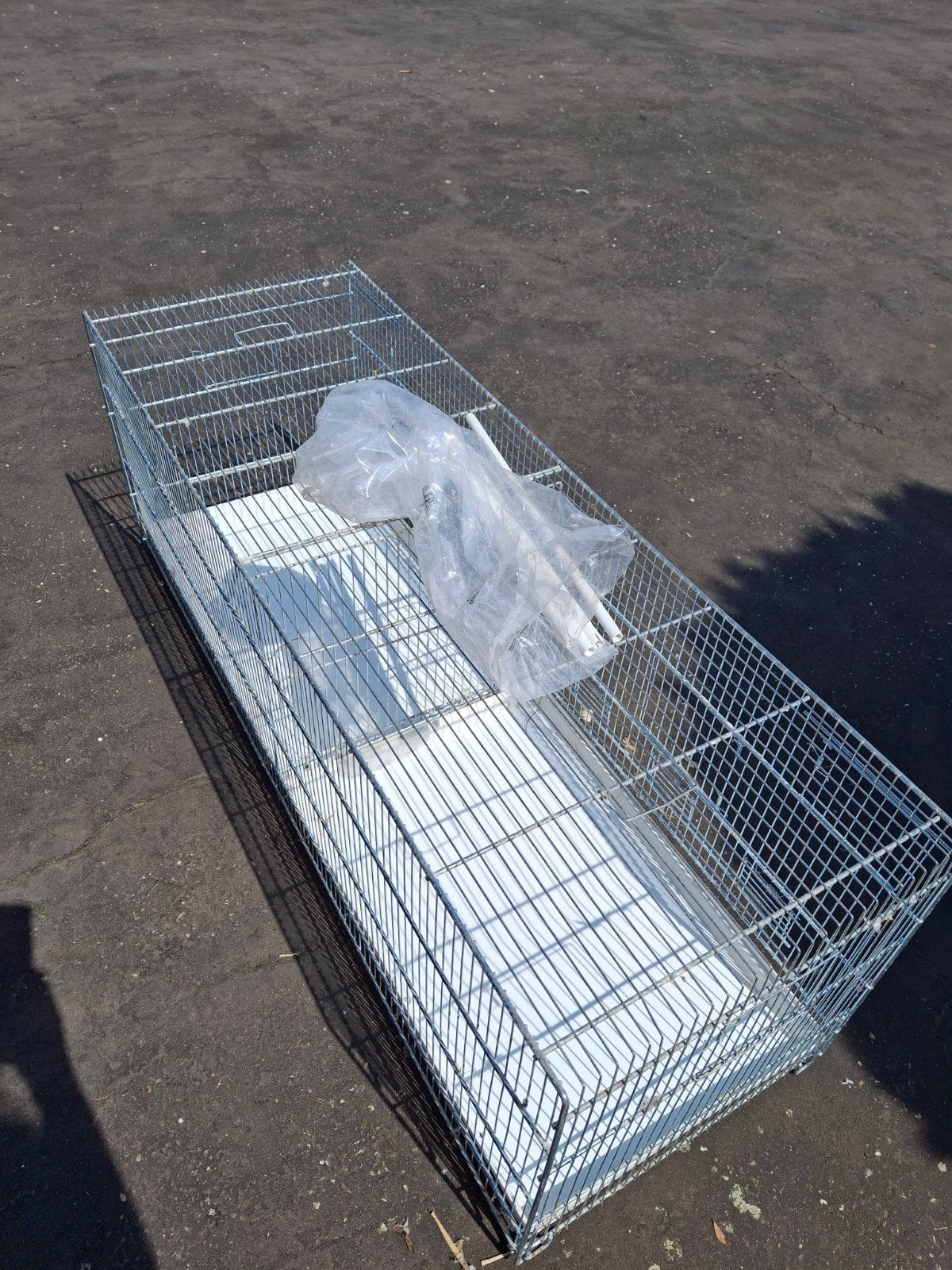 Kooi, Animaux & Accessoires, Oiseaux | Pigeons