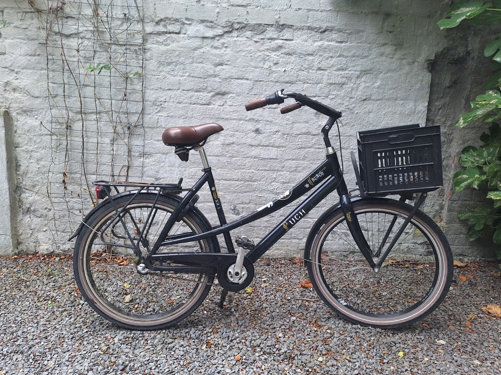 hollandse damesfiets merk push, Fietsen en Brommers, Ophalen, Terugtraprem, Versnellingen, Push