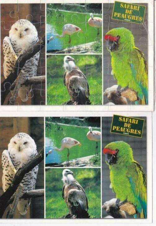2 Franse (puzzel) ansichtkaarten vogels, uil, flamingo, Verzamelen, Ophalen of Verzenden, 1980 tot heden, Ongelopen, Vogel