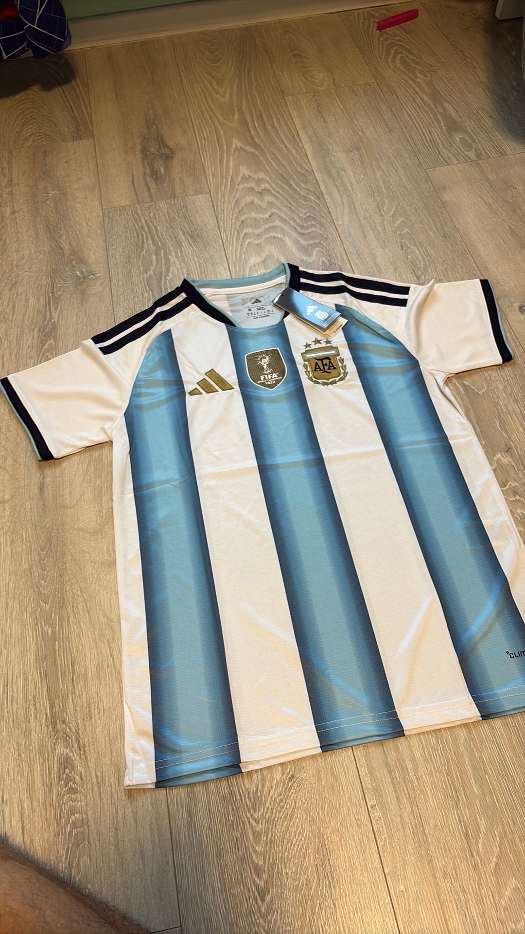 Home shirt van Argentinië, Maat M, Ophalen of Verzenden, Nieuw, Shirt