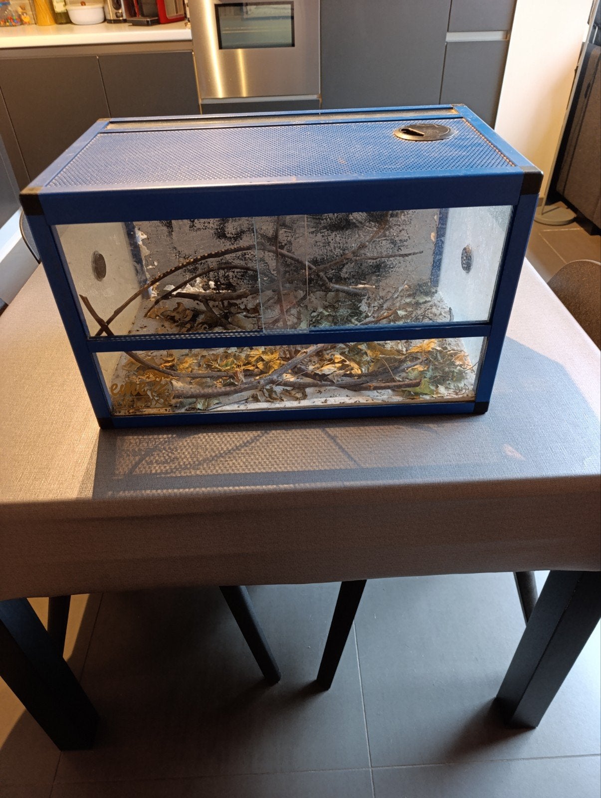 Terrarium, Ophalen, Gebruikt, Terrarium of Paludarium