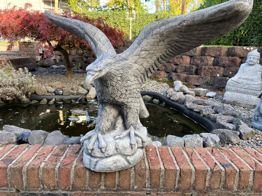 Adelaar , 70 x 90cm, Tuin en Terras, Tuinbeelden, Ophalen, Nieuw, Beton, Dierenbeeld