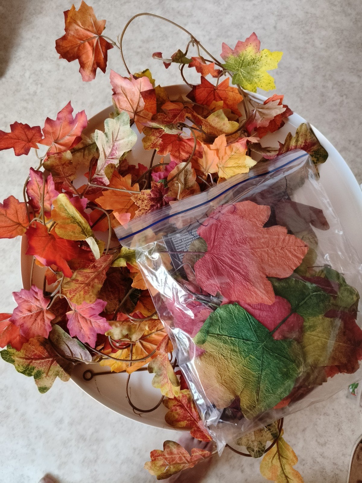 decoratie herfsttakken en blaadjes voor kleuters, Ophalen