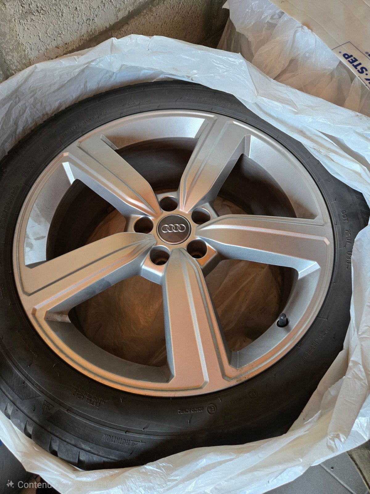 jantes audi 255 21’, Autos : Pièces & Accessoires, Pneus hiver, 255 mm, 21 pouces, Enlèvement