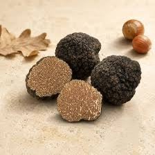 Truffes d’automne arrive, Enlèvement ou Envoi, Comme neuf