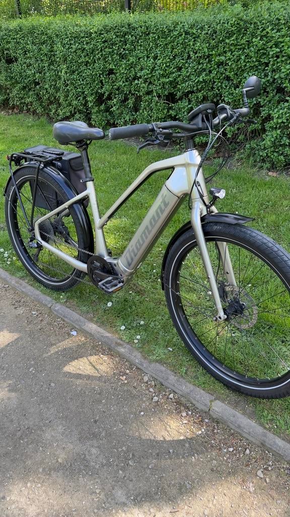 Elektrische fiets van een goed merk, diamanten Bosch-motor, Fietsen en Brommers, Ophalen of Verzenden, Zo goed als nieuw