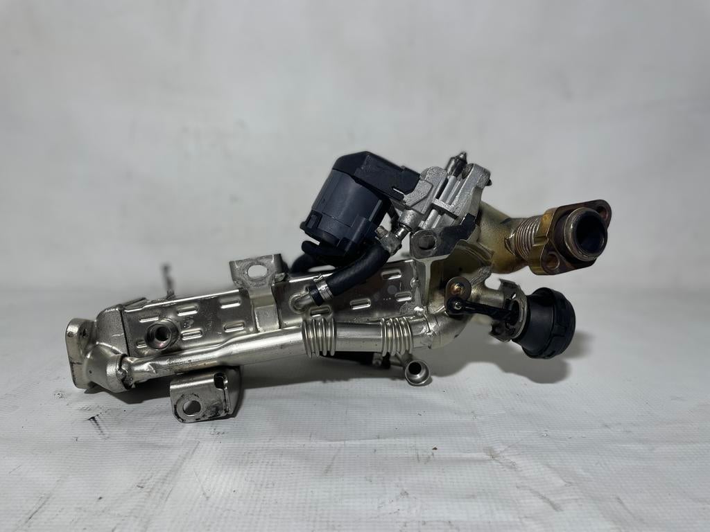 Vanne EGR+Refroidisseur 847699301 BMW F20 F21, Cc, C, Enlèvement, Utilisé