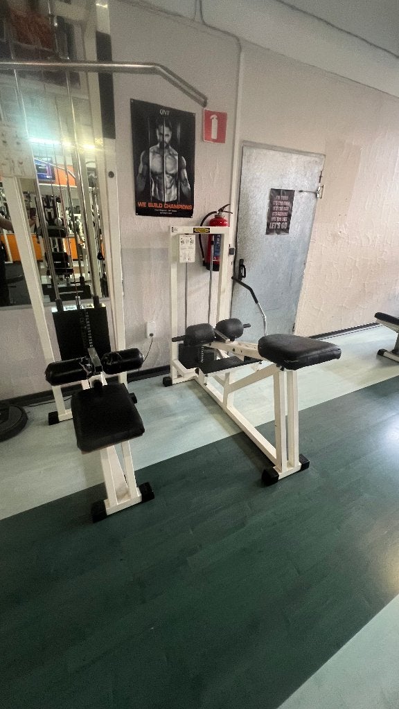 VENTE MATÉRIEL SALLE DE MUSCULATION PROFESSIONNELLE, Enlèvement, Utilisé, Bras