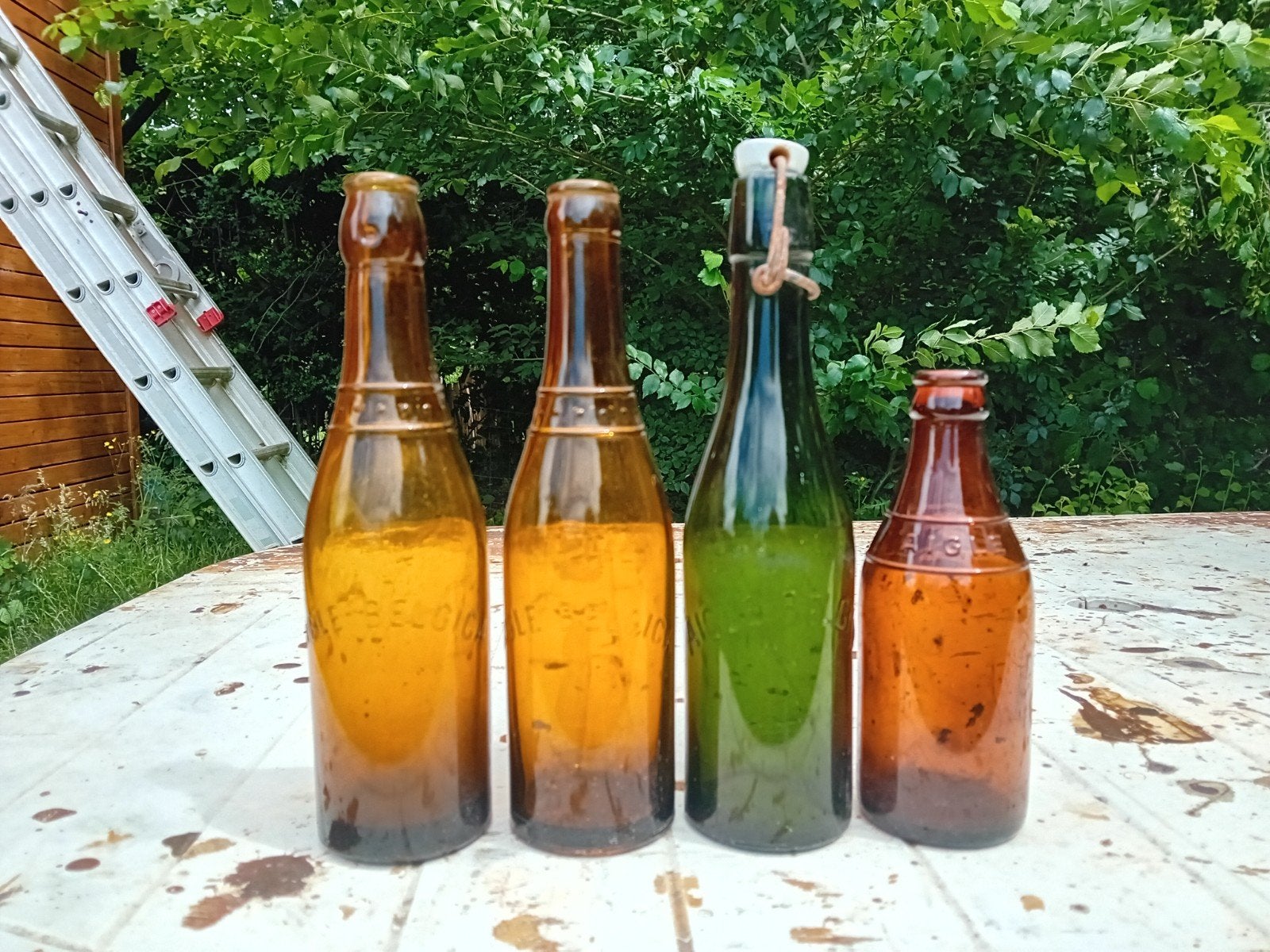 Oude vintage bierflessen brouwerij Aigle Belgica Gent Brugge, Verzamelen, Biermerken, Ophalen of Verzenden