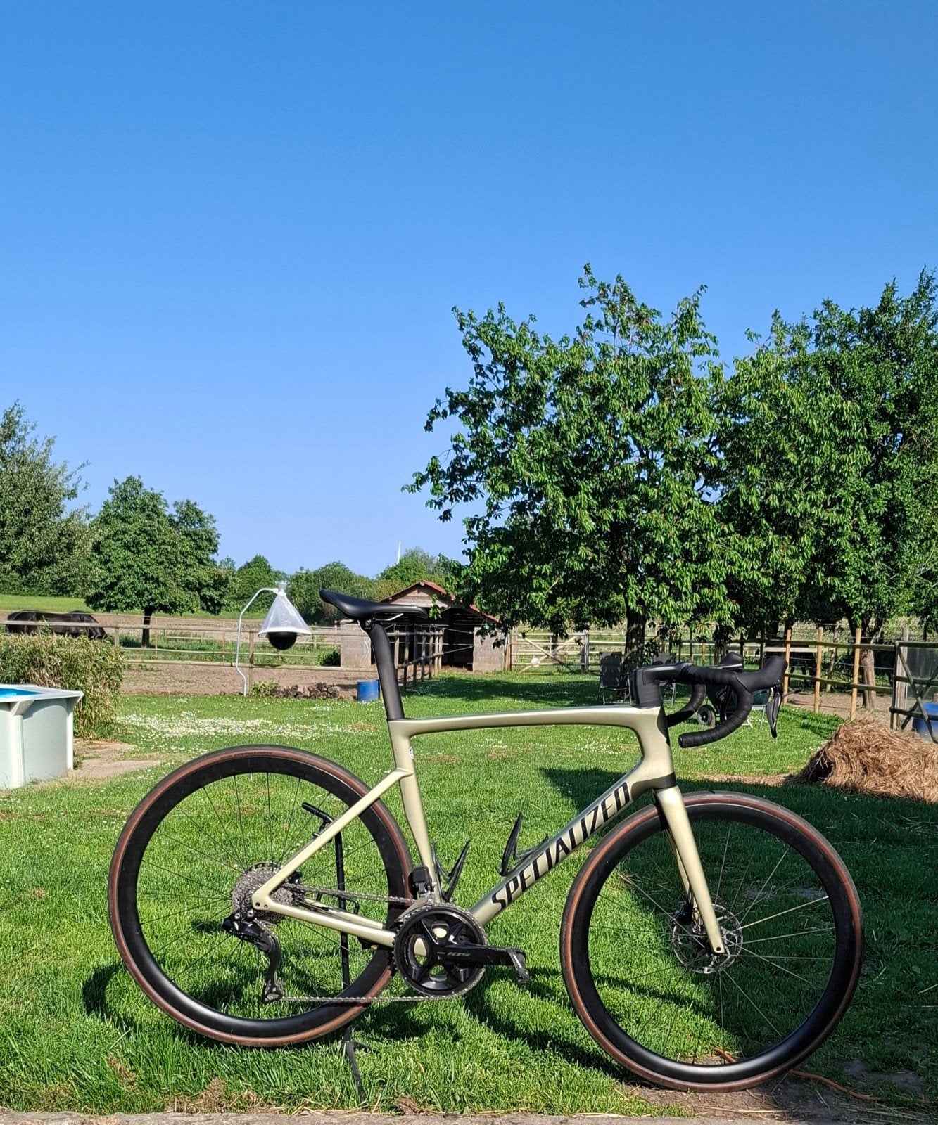 Specialized tarmac, Fietsen en Brommers, 28 inch, Carbon, Heren, Zo goed als nieuw