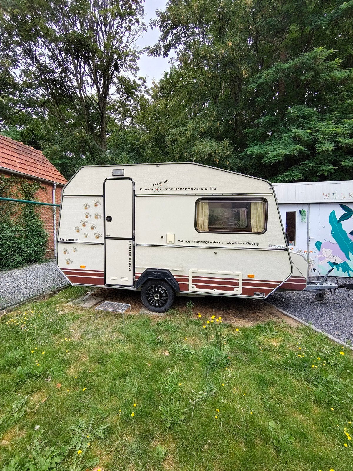 Caravan kip, Kip