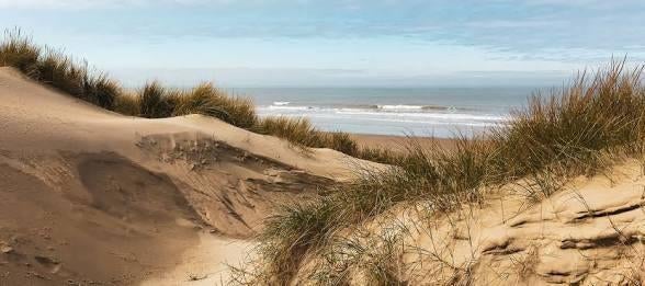 Strandgezelschap gezocht