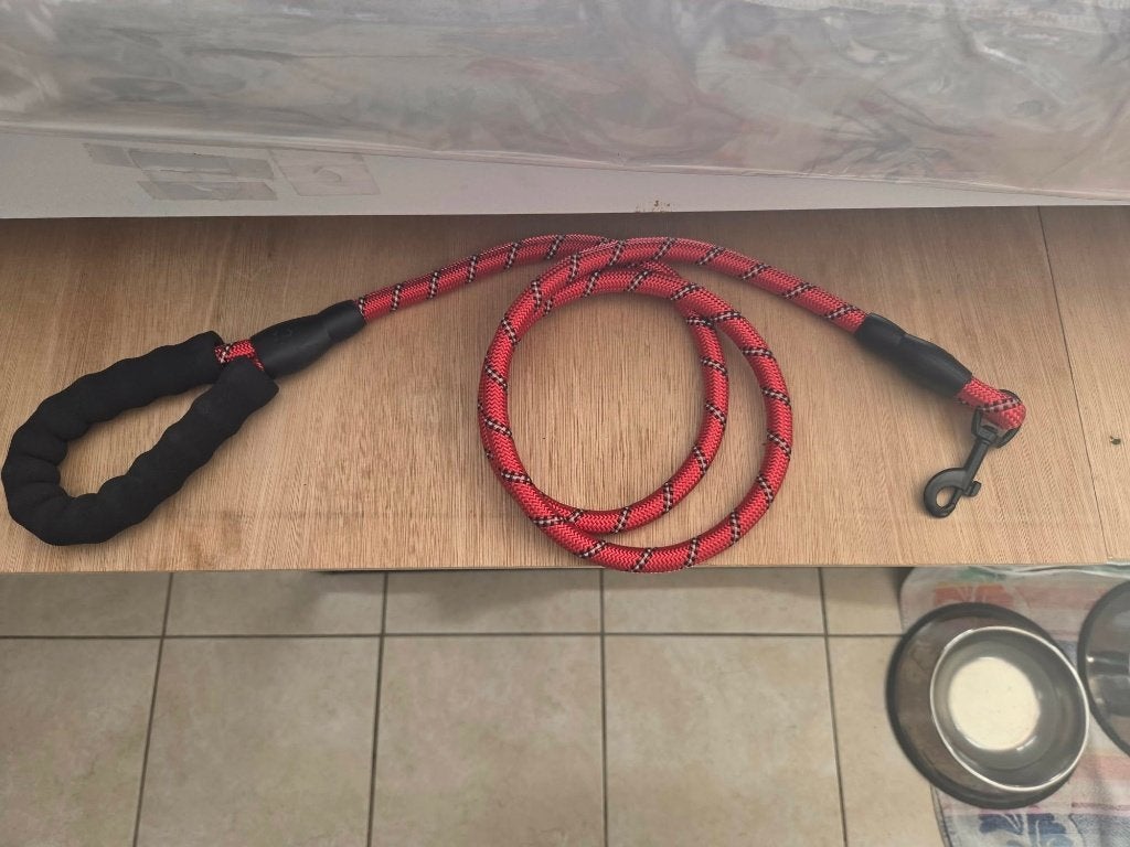 1 Laisse rouge de 150 cm Vendu --- 5 euros, Animaux & Accessoires, Enlèvement, Comme neuf