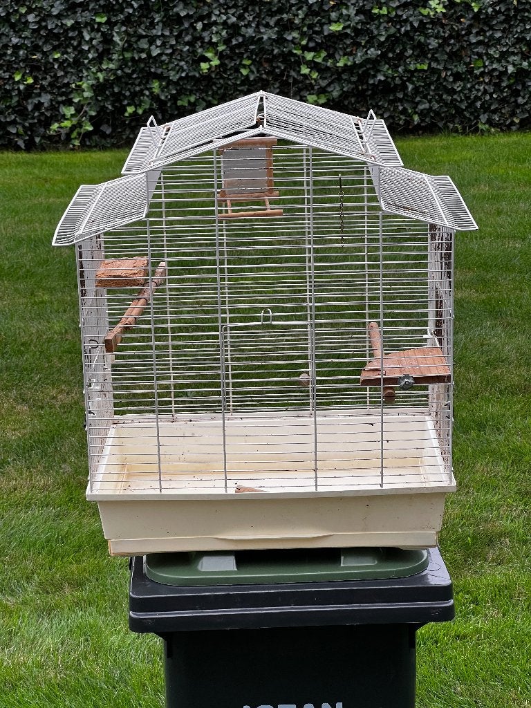 Vogelkooien, Ophalen, Gebruikt, Metaal, Vogelkooi