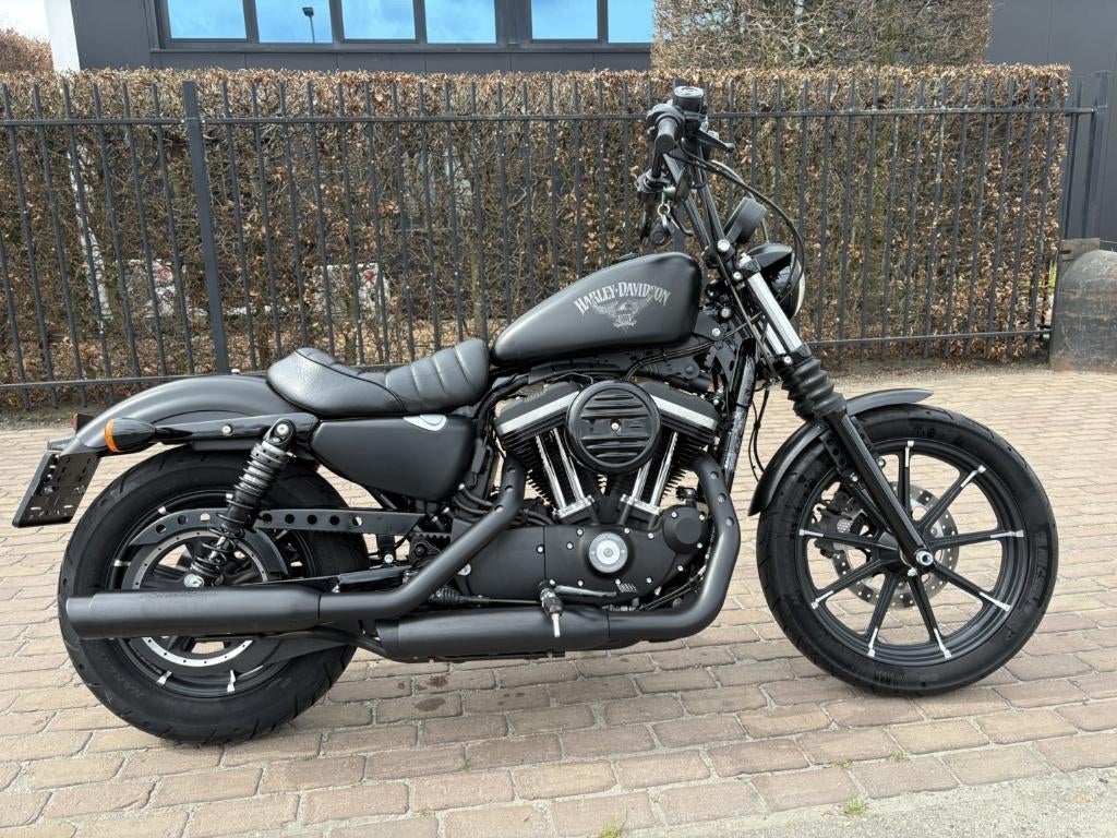 Harley Iron 883, Motoren, Motoren | Harley-Davidson, Bedrijf, Chopper, meer dan 35 kW, 2 cilinders, Motorrijbewijs A, ABS, Sportuitlaat