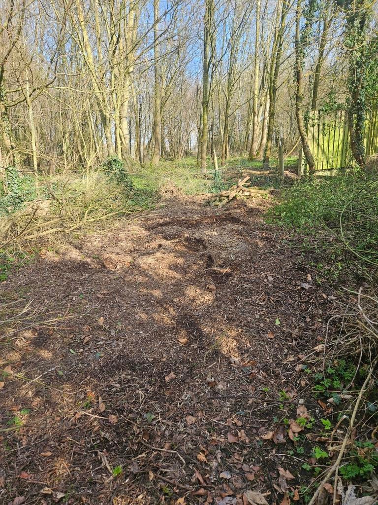 Gratis hakselhout 2025, Enlèvement ou Envoi