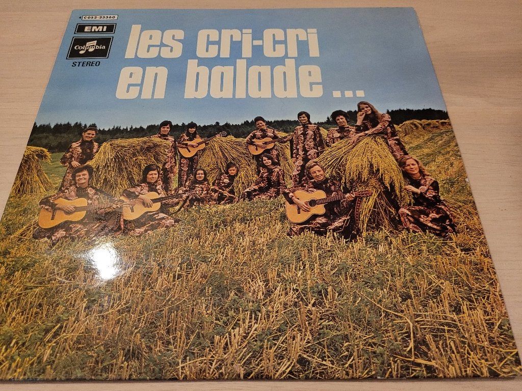 disque vinyl 33 tours les cri-cri en balade, CD & DVD, Vinyles | Pop, Comme neuf, Pop, Enlèvement ou Envoi