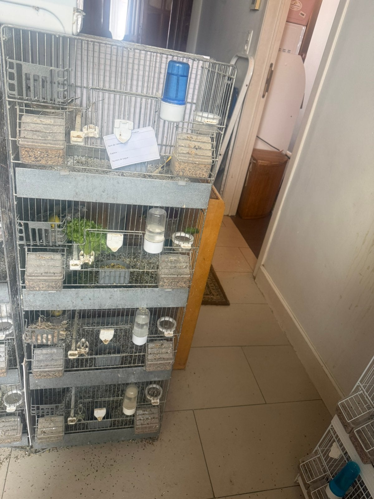 Cage de 4 etage !!! 3 disponibles 60€ le tous !!!, Enlèvement, Utilisé, Métal, Cage d'élevage