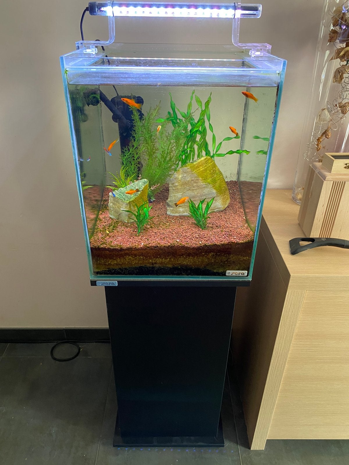 Aquarium Sera scaper cube 80 l + meuble, Ophalen, Gebruikt, Sera, Inclusief toebehoren