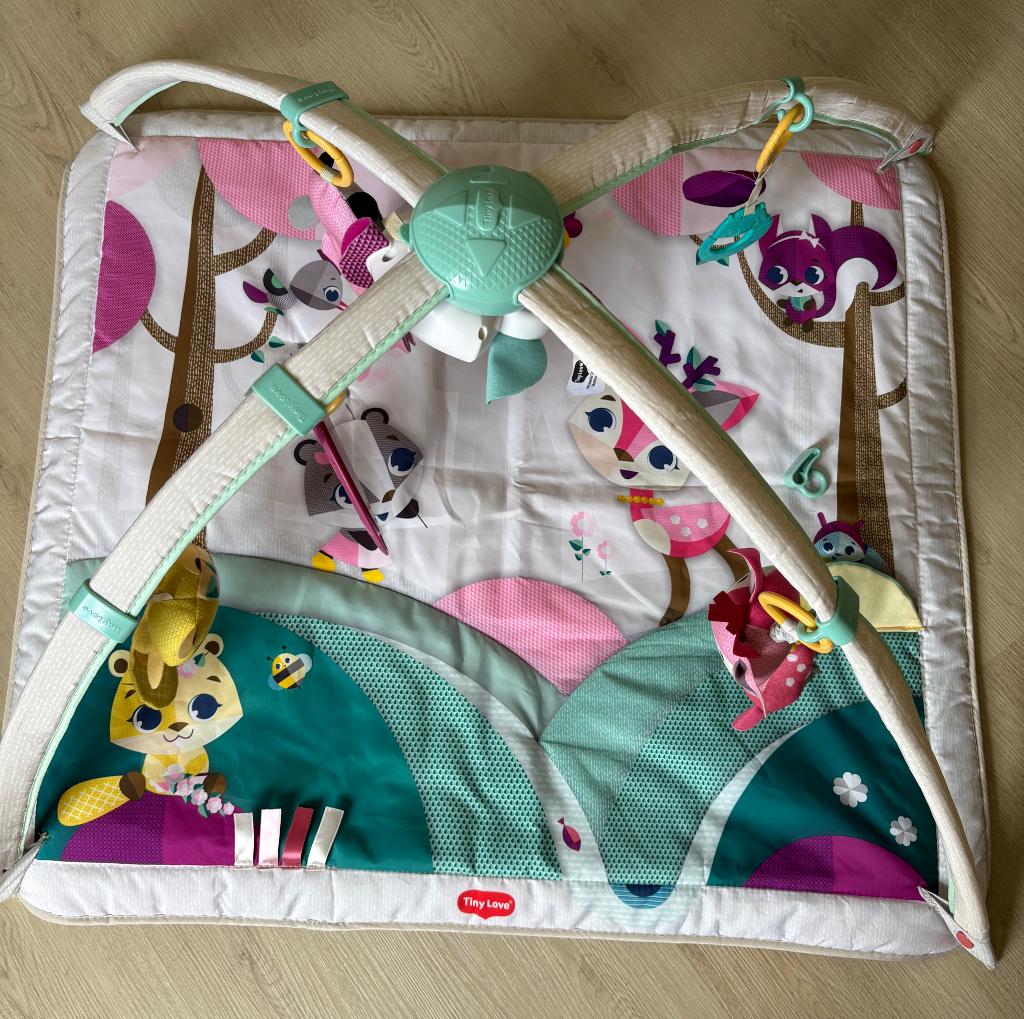 Speelmat Princess Tales .Merk: Tiny Love, Ophalen, Zo goed als nieuw, Mobiel, Met geluid