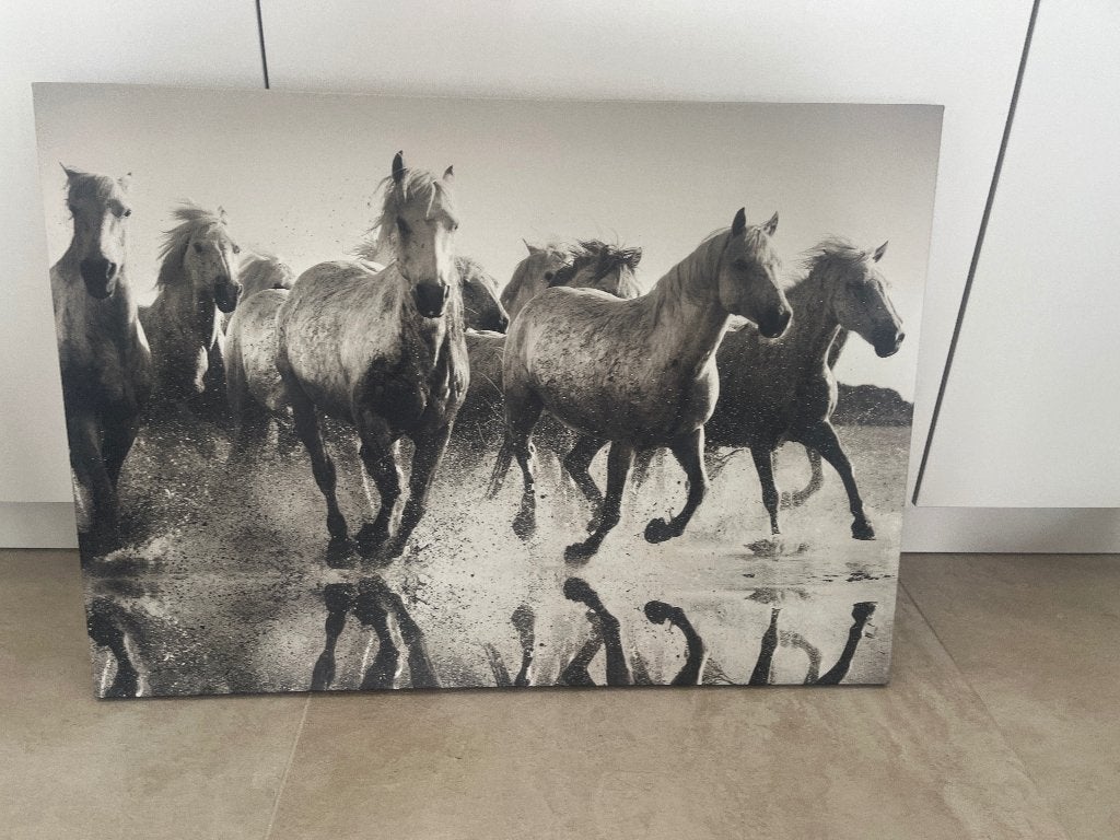 Canvas paarden, Dieren en Toebehoren, Paarden