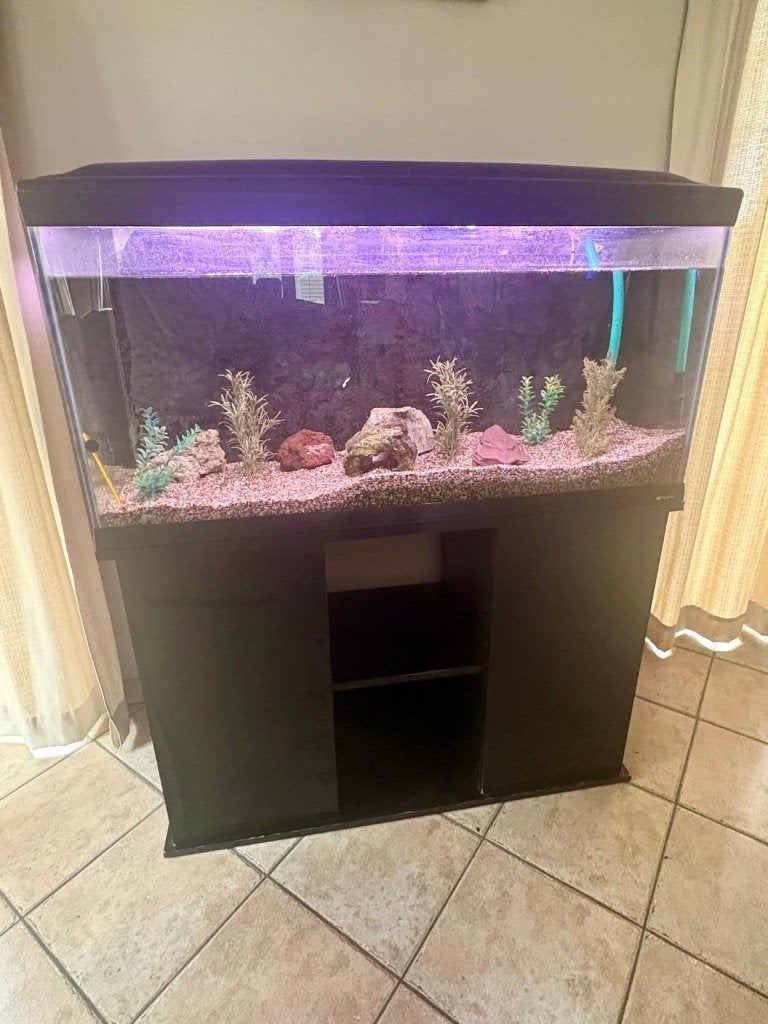 Aquarium Cayman 110 professional, Dieren en Toebehoren, Ophalen, Gebruikt, Inclusief deksel, Leeg aquarium