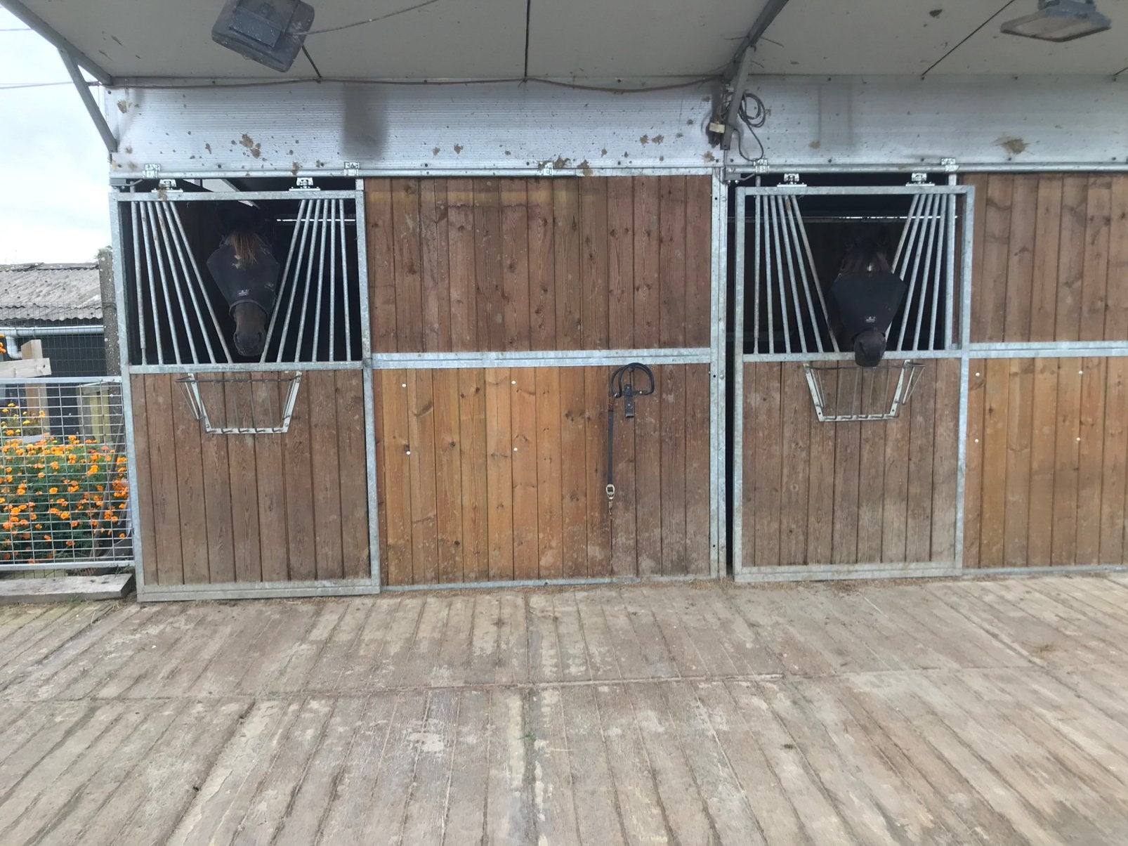 Paardeboxen, Dieren en Toebehoren, Stalling, 2 of 3 paarden of pony's