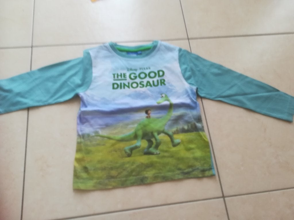 T-shirt The Good dinosaur, Kinderen en Baby's, Ophalen of Verzenden, Gebruikt, Jongen, Shirt of Longsleeve