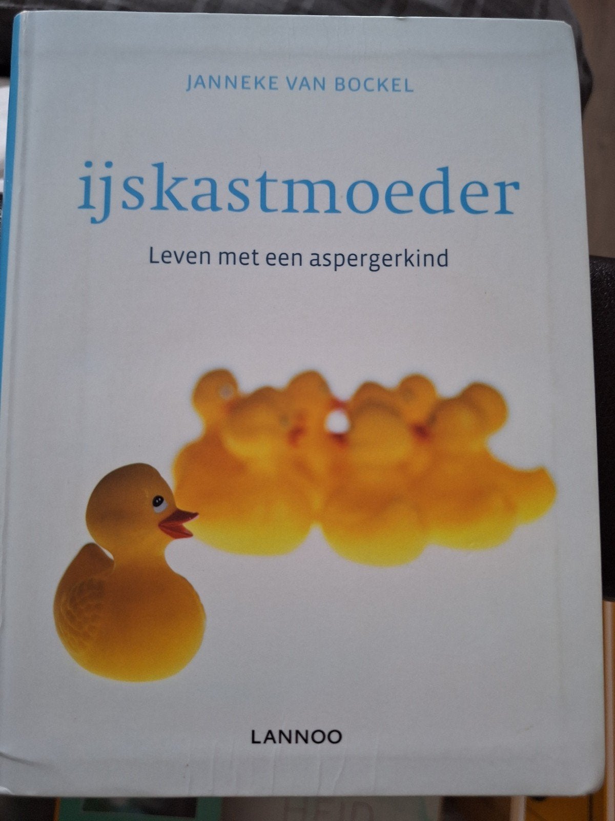 Ijskast moeder, Boeken, Ophalen of Verzenden
