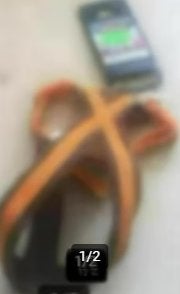 Harnais orange / gris XS Trixie NEUF, Autres marques, Enlèvement ou Envoi, Neuf, Collier