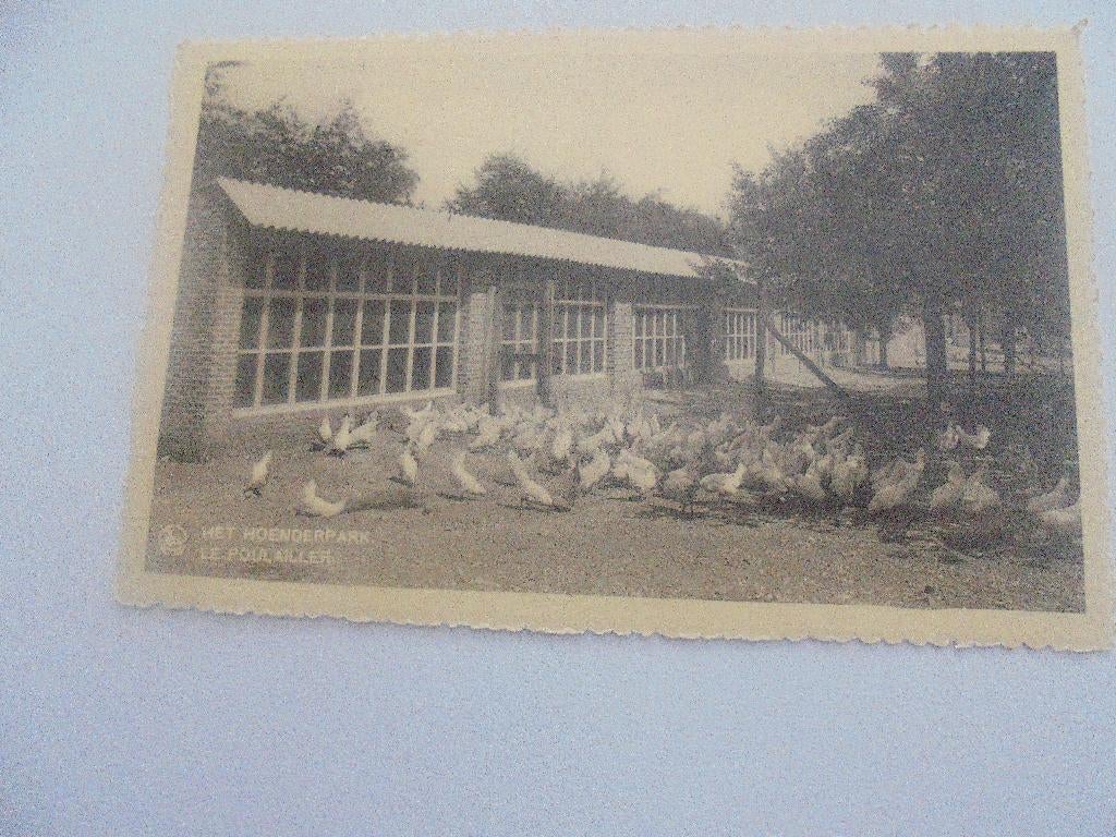 westmalle-abdij-het hoenderpark, Verzamelen, Ophalen of Verzenden, 1920 tot 1940, Ongelopen, Antwerpen