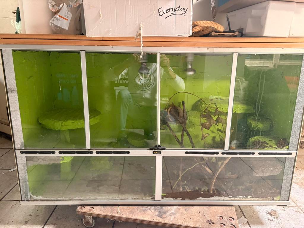 Dubbele terrarium, Enlèvement, Comme neuf