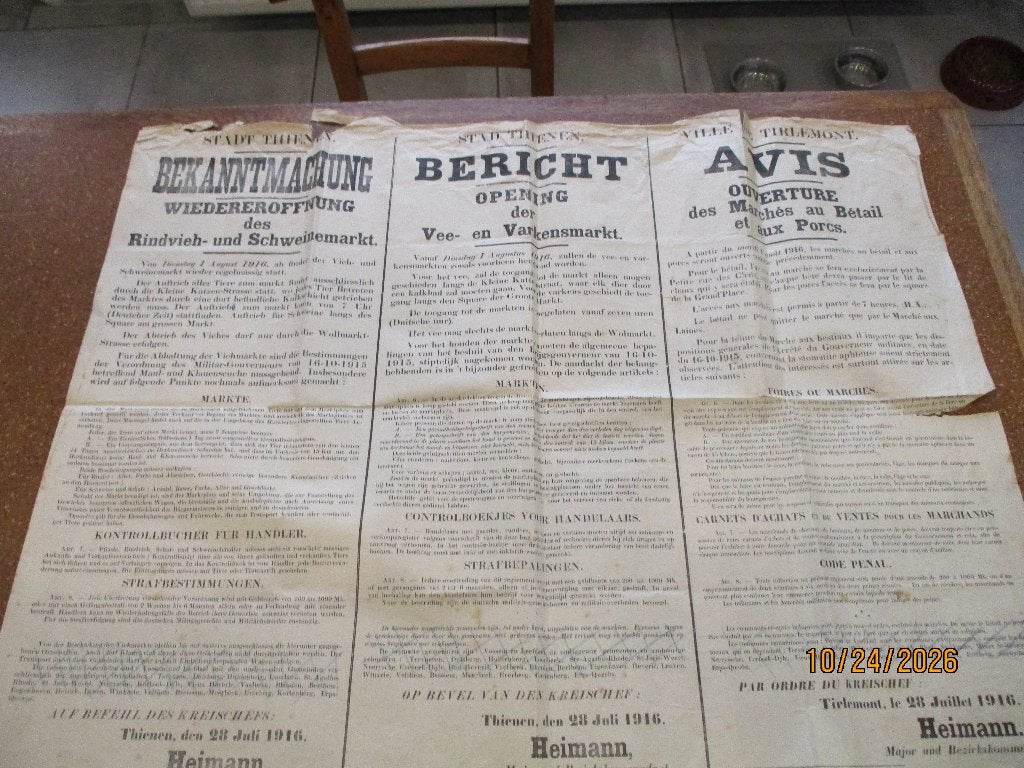 14-18. Poster Tienen 1916 Marché aux porcs et aux bestiaux, Collections, Enlèvement ou Envoi