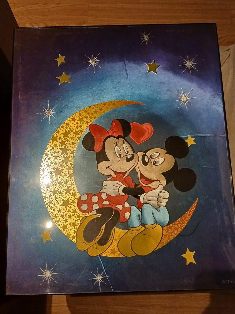Mickey en minnie mouse kader, Verzamelen, Ophalen, Gebruikt, Overige typen