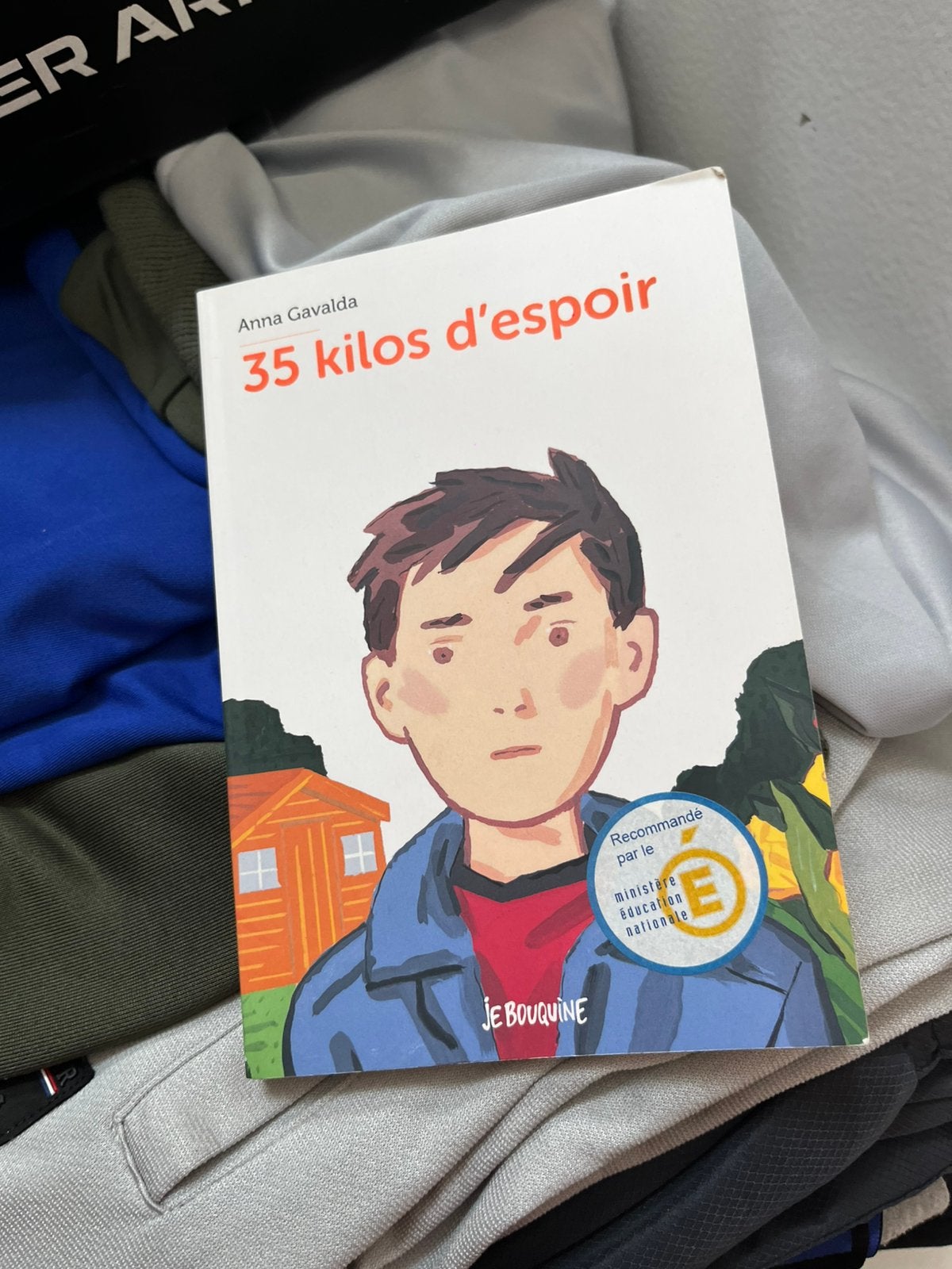 Boek 35 kilos d’espoir Anna Gavalda, Ophalen of Verzenden, Zo goed als nieuw, Anna gavalda