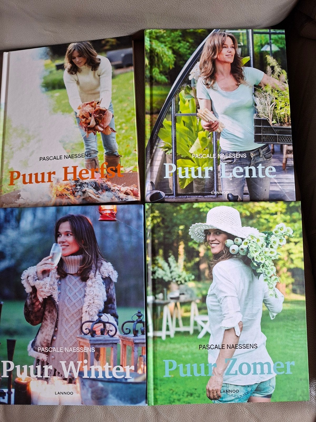 Pascale Naessens,  De 4 Pure Seizoenen, Ophalen of Verzenden