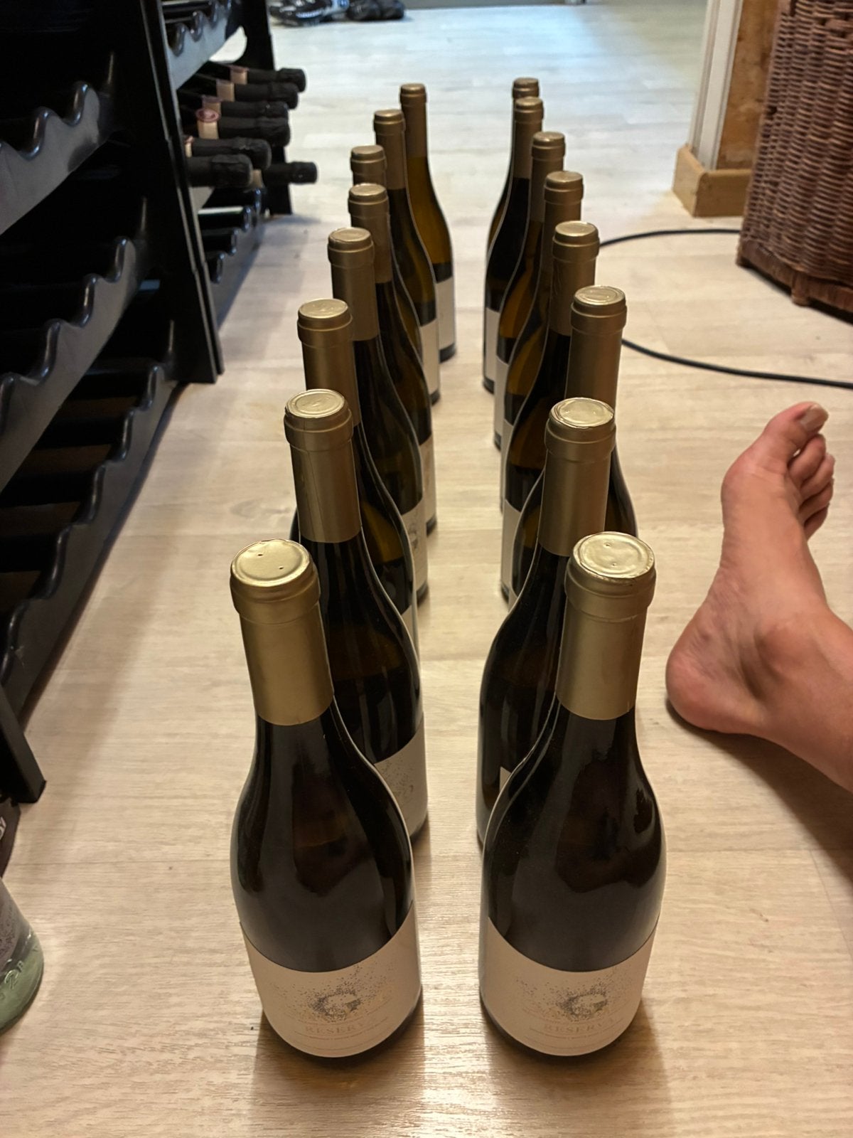 18 flessen witte wijn, Collections, Vins, Enlèvement, Neuf, Vin blanc
