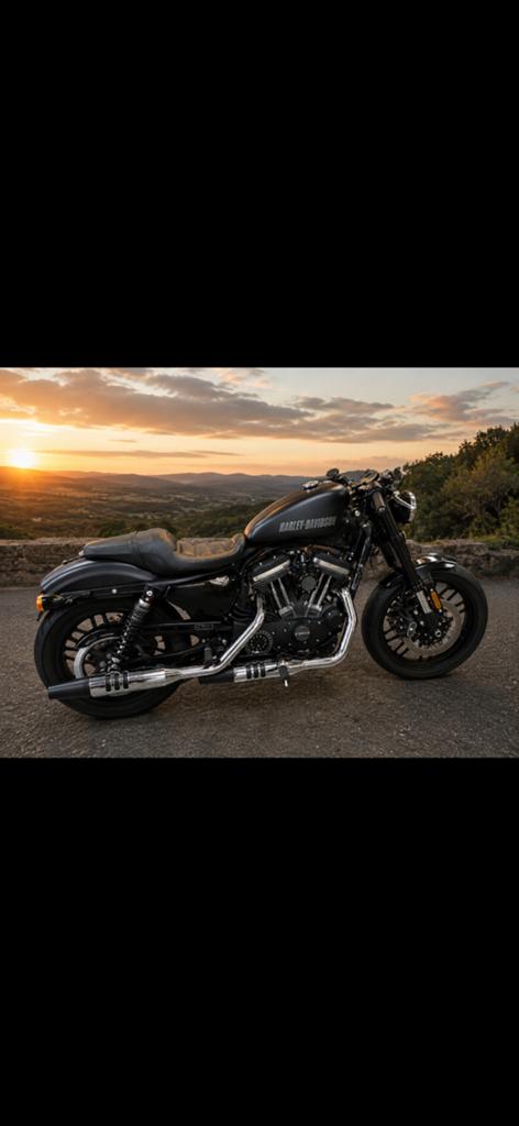 Harley Davidson, Motoren, Occasion, Chopper, Particulier, 1200 cc